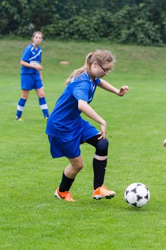 Bild 202 - B-Juniorinnen FSG BraWie 08 - JSG Sandesneben : Ergebnis: 2:0